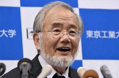 オートファージに学ぶ集中力１