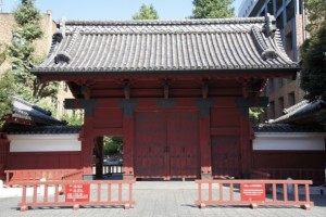 東大理Ⅲに合格１