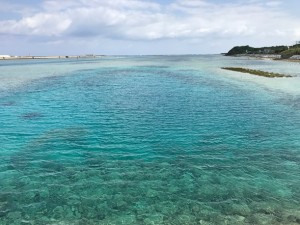 ほんとうのことを知らない子どもたち１