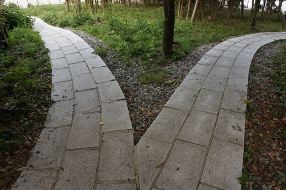 敢えて苦難の道を選ぶ１